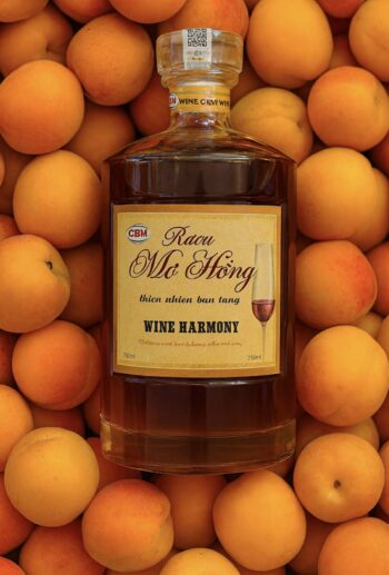 Rượu mơ Hồng